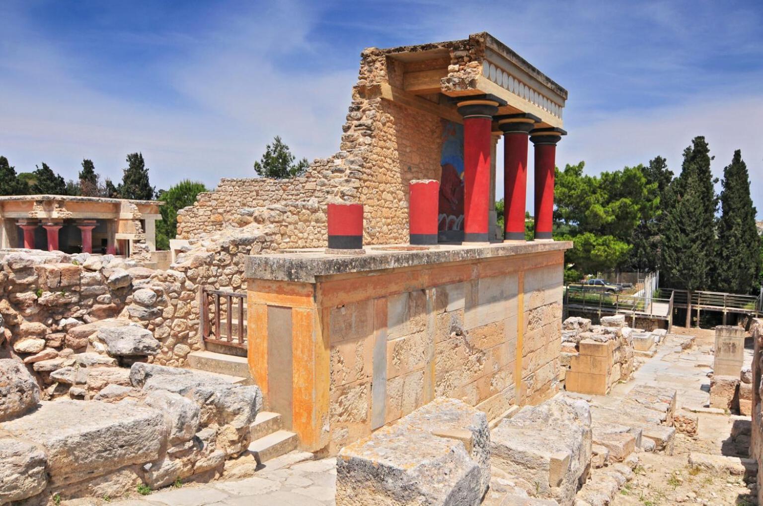Elichrysos Cozy *